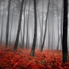 11 Miles - Poznání II. (Fanfikce)